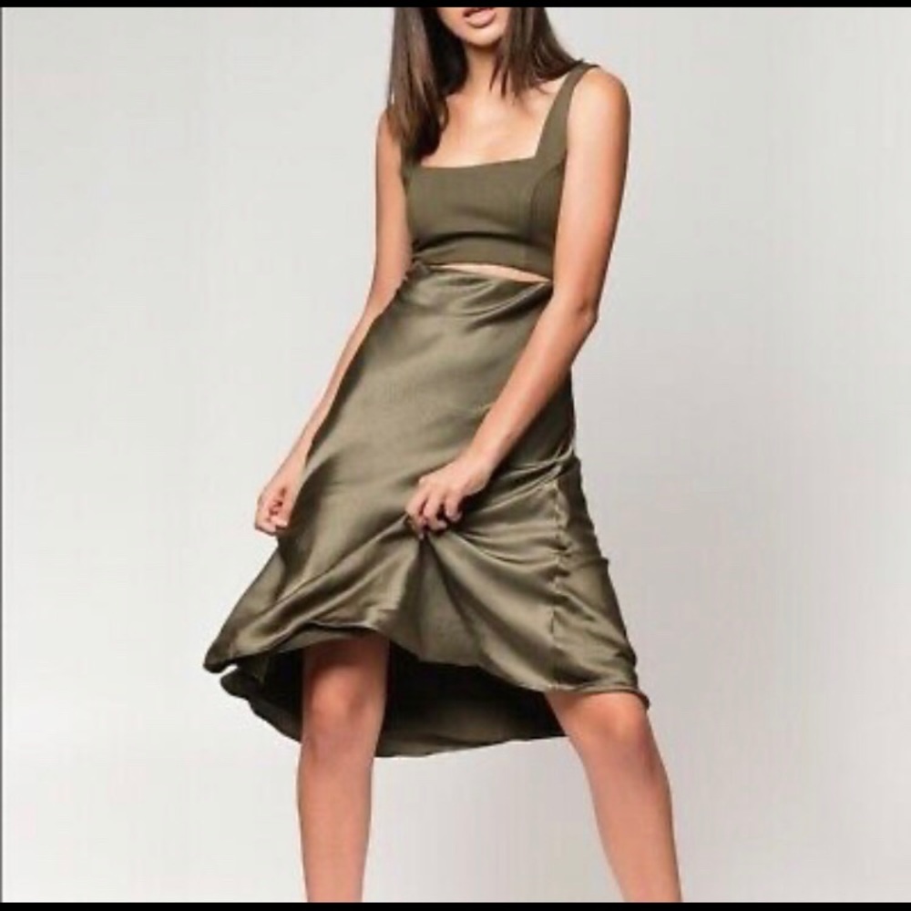 NWT Donna Mizani Midi Dress